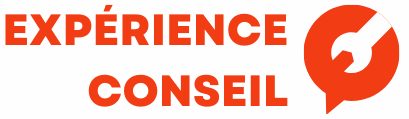 Expérience conseil